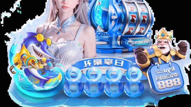 反馈前，请准备